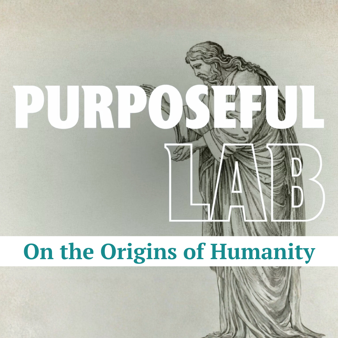 Promotional graphic reading “Black graphic with the title “In Focus” in large white letters, with the “O” designed to look like a camera lens. Below it, in smaller gold text, it reads “Near-Death Experiences.”